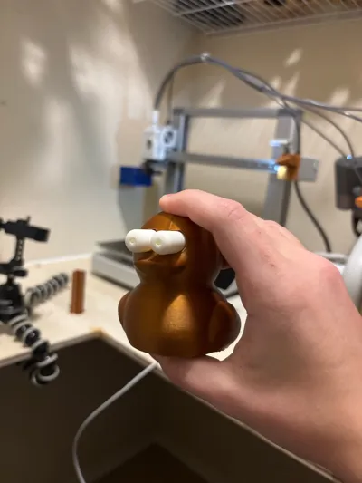 https://makerworld.bblmw.com/makerworld/model/2144875/2323453/ratings/2fa3e1f0-e37a-11f0-99e9-5b22883dcd39.jpg