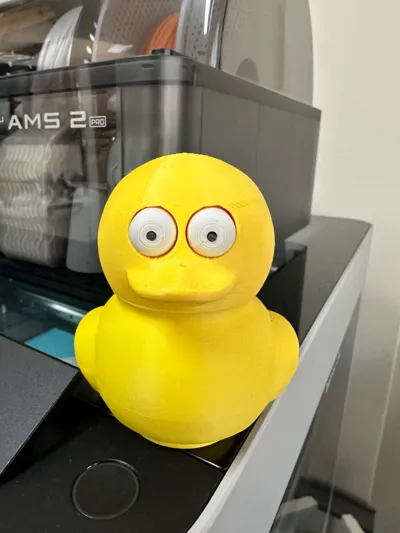 https://makerworld.bblmw.com/makerworld/model/2144875/2323453/ratings/53ac2210-e9ce-11f0-94fd-07a9248324c2.jpg