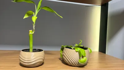 https://makerworld.bblmw.com/makerworld/model/2145389/2324321/ratings/4f1c8010-e4a5-11f0-9019-d126a31e4181.jpg