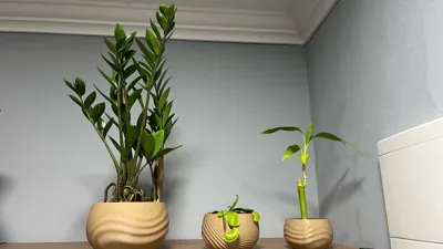https://makerworld.bblmw.com/makerworld/model/2145389/2324321/ratings/4f22c1a0-e4a5-11f0-9019-d126a31e4181.jpg