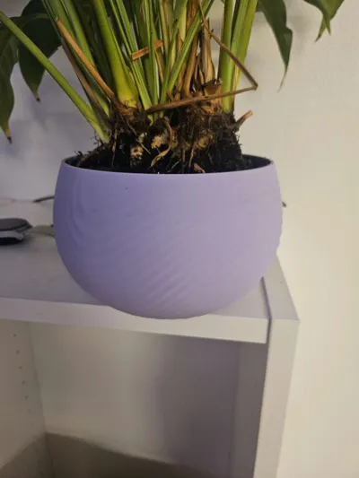 https://makerworld.bblmw.com/makerworld/model/2145389/2324347/ratings/c9b41cc0-f4a9-11f0-9219-9f222ffe2038.jpg