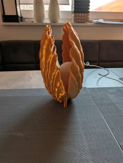 https://makerworld.bblmw.com/makerworld/model/2153826/2334569/ratings/e23d88d0-e167-11f0-b82a-e50145286f08.jpg
