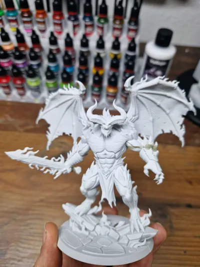 https://makerworld.bblmw.com/makerworld/model/2154353/2335175/ratings/e44b7070-ec0b-11f0-ab73-bb052b33eba3.jpg