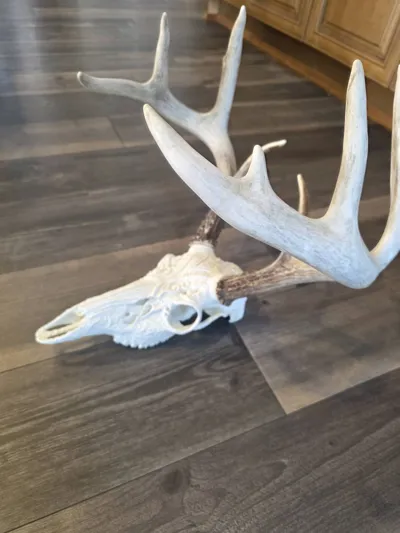 https://makerworld.bblmw.com/makerworld/model/2154695/2335574/ratings/d66fc5a0-ef8a-11f0-928d-b161f9cd8497.jpg