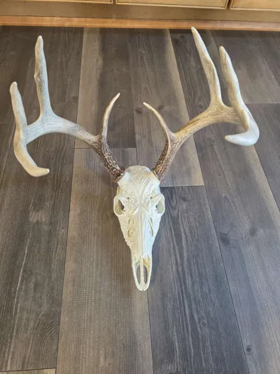 https://makerworld.bblmw.com/makerworld/model/2154695/2335574/ratings/d6832690-ef8a-11f0-928d-b161f9cd8497.jpg