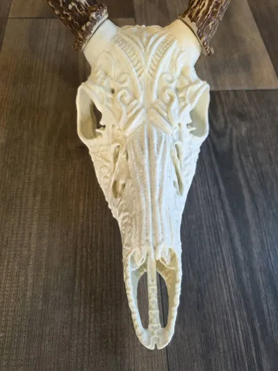 https://makerworld.bblmw.com/makerworld/model/2154695/2335574/ratings/d68374b0-ef8a-11f0-928d-b161f9cd8497.jpg