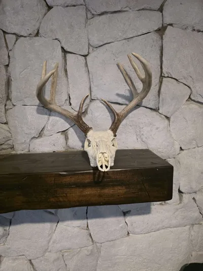 https://makerworld.bblmw.com/makerworld/model/2154695/2335574/ratings/d683c2d0-ef8a-11f0-928d-b161f9cd8497.jpg