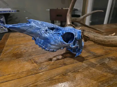 https://makerworld.bblmw.com/makerworld/model/2154748/2335638/ratings/0f811e50-e9e8-11f0-80ee-2929225abcb4.jpg