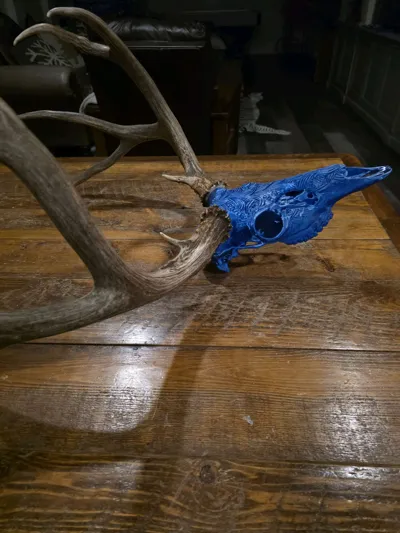 https://makerworld.bblmw.com/makerworld/model/2154748/2335638/ratings/0f867580-e9e8-11f0-80ee-2929225abcb4.jpg