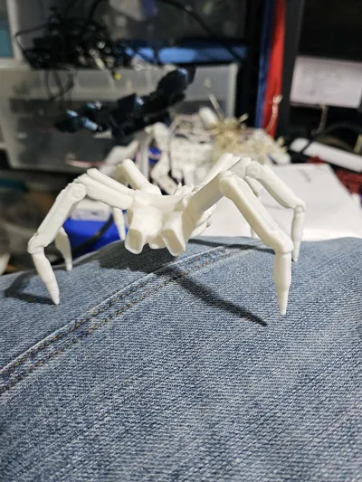 https://makerworld.bblmw.com/makerworld/model/2156450/2337691/ratings/023536c0-f733-11f0-8659-1d5bb1a1b95b.jpg
