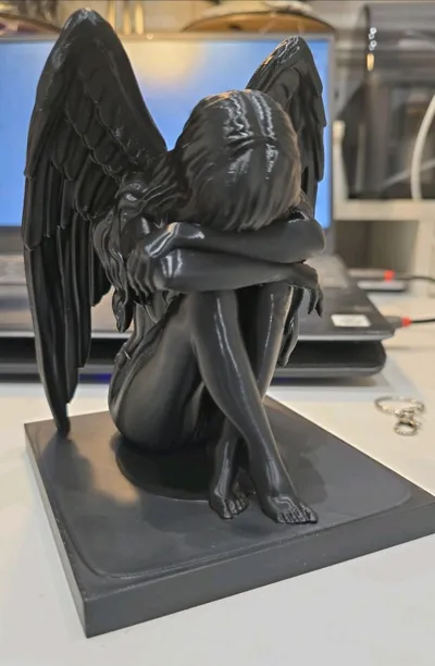 https://makerworld.bblmw.com/makerworld/model/2159032/2341871/ratings/ea371290-e879-11f0-9a1d-3f70af42c290.jpg