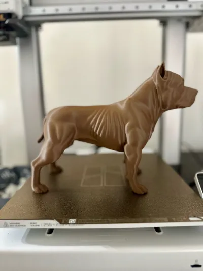 https://makerworld.bblmw.com/makerworld/model/2160193/2342054/ratings/b55c8a10-eefe-11f0-bfbb-b5eca211d1b1.jpg