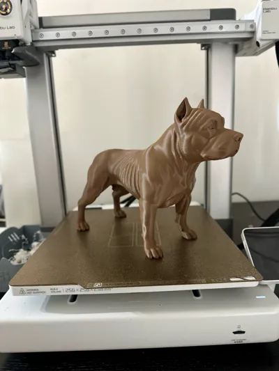 https://makerworld.bblmw.com/makerworld/model/2160193/2342054/ratings/b55d2650-eefe-11f0-bfbb-b5eca211d1b1.jpg