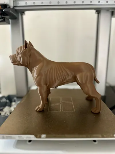 https://makerworld.bblmw.com/makerworld/model/2160193/2342054/ratings/b5653ca0-eefe-11f0-bfbb-b5eca211d1b1.jpg