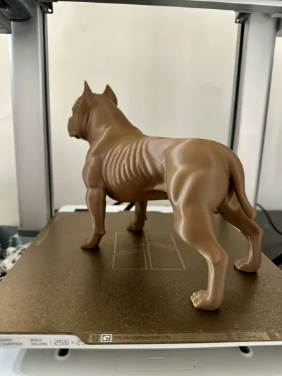 https://makerworld.bblmw.com/makerworld/model/2160193/2342054/ratings/b5673870-eefe-11f0-bfbb-b5eca211d1b1.jpg