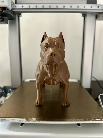 https://makerworld.bblmw.com/makerworld/model/2160193/2342054/ratings/b5678690-eefe-11f0-bfbb-b5eca211d1b1.jpg