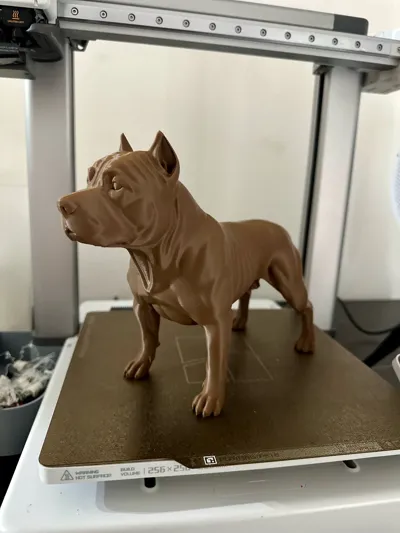 https://makerworld.bblmw.com/makerworld/model/2160193/2342054/ratings/b57bd1e0-eefe-11f0-bfbb-b5eca211d1b1.jpg