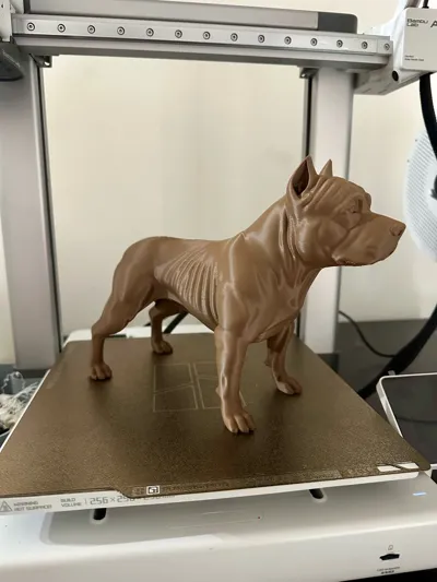 https://makerworld.bblmw.com/makerworld/model/2160193/2342054/ratings/b59acb90-eefe-11f0-bfbb-b5eca211d1b1.jpg