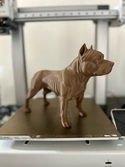 https://makerworld.bblmw.com/makerworld/model/2160193/2342054/ratings/b5a504c0-eefe-11f0-bfbb-b5eca211d1b1.jpg