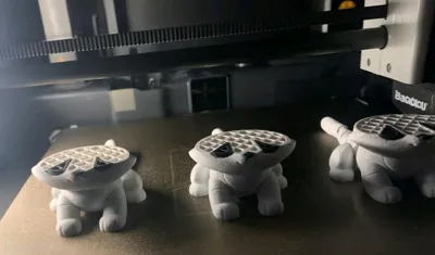 https://makerworld.bblmw.com/makerworld/model/2161180/2402672/ratings/f5192300-f47d-11f0-826a-fd1fe6823d69.jpg