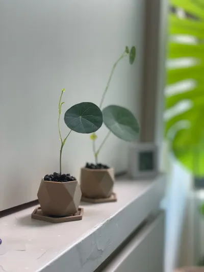 https://makerworld.bblmw.com/makerworld/model/21632/419942/ratings/e3da0de0-69de-11f0-b6f1-59057e179d9e.jpg