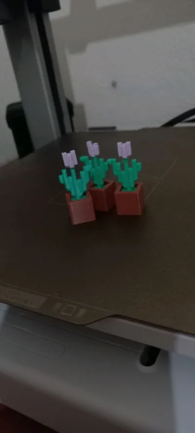 https://makerworld.bblmw.com/makerworld/model/216335/1270706/ratings/97544b40-9051-11f0-990e-bfd9340683cb.jpg