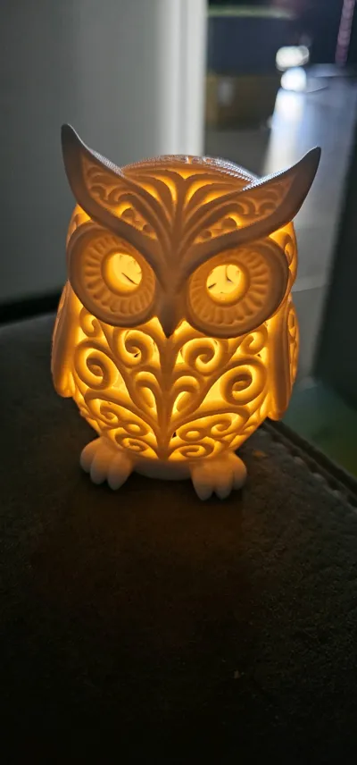 https://makerworld.bblmw.com/makerworld/model/2164293/2346726/ratings/278fd0e0-eb46-11f0-89a6-4ba5c2e5b997.jpg