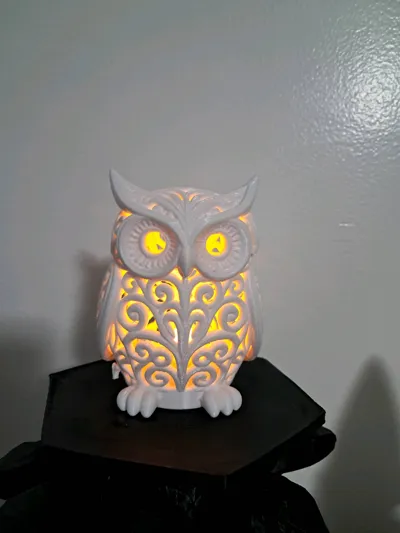 https://makerworld.bblmw.com/makerworld/model/2164293/2346726/ratings/705c2890-ece1-11f0-9b62-0f4bf2d5e038.jpg