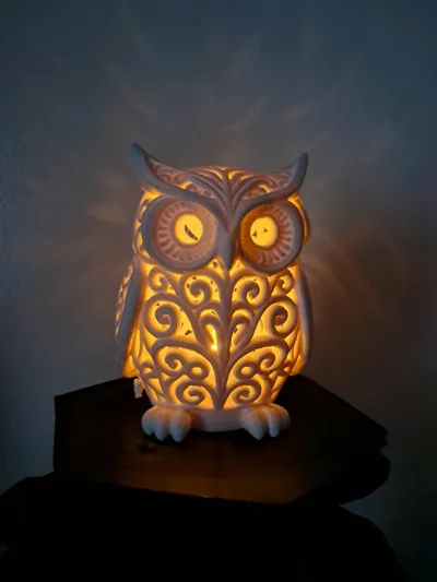 https://makerworld.bblmw.com/makerworld/model/2164293/2346726/ratings/706a3250-ece1-11f0-9b62-0f4bf2d5e038.jpg
