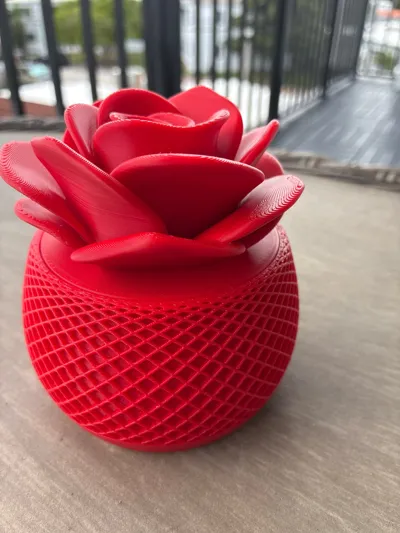 https://makerworld.bblmw.com/makerworld/model/2167316/2350169/ratings/2e3f30f0-eff3-11f0-aecd-112b6271fa4b.jpg