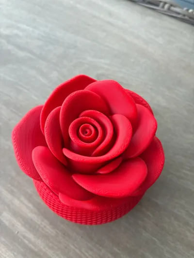 https://makerworld.bblmw.com/makerworld/model/2167316/2350169/ratings/2e434fa0-eff3-11f0-aecd-112b6271fa4b.jpg