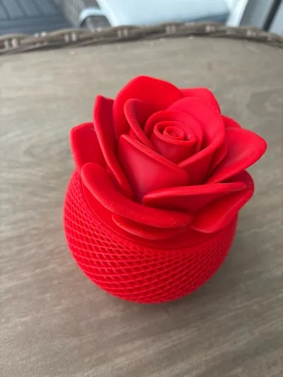 https://makerworld.bblmw.com/makerworld/model/2167316/2350169/ratings/2e499130-eff3-11f0-aecd-112b6271fa4b.jpg