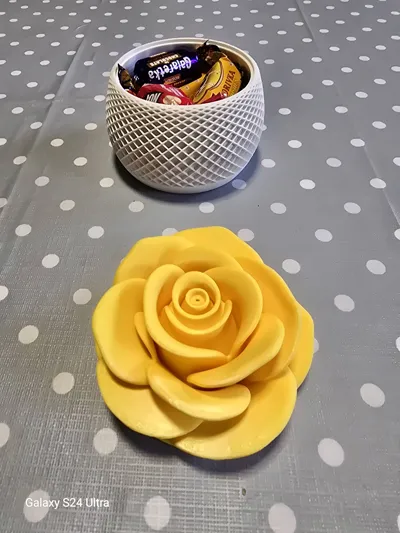 https://makerworld.bblmw.com/makerworld/model/2167316/2350169/ratings/be4b3930-f9f5-11f0-a634-65ec9a2cd7f4.jpg