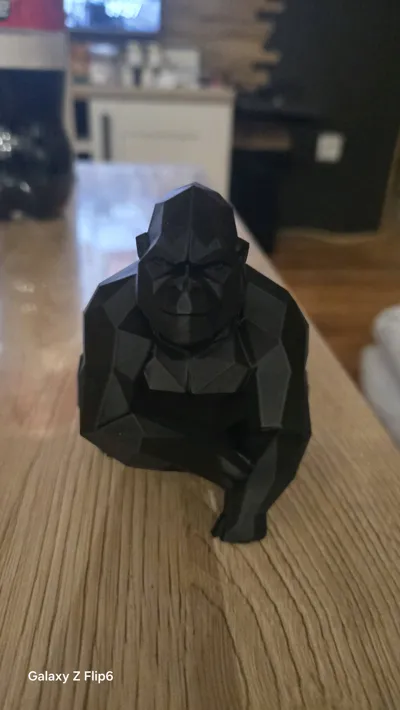 https://makerworld.bblmw.com/makerworld/model/2168533/2351672/ratings/bff2ce10-f568-11f0-adc3-99dede3262c3.jpg