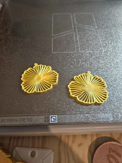 https://makerworld.bblmw.com/makerworld/model/2169148/2352420/ratings/c5cf5f70-ec0c-11f0-b078-87b70ba4ba3a.jpg