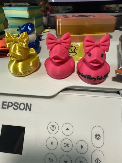 https://makerworld.bblmw.com/makerworld/model/2173804/2358048/ratings/cc9dcee0-eeb9-11f0-a883-d1fe06c82e9f.jpg