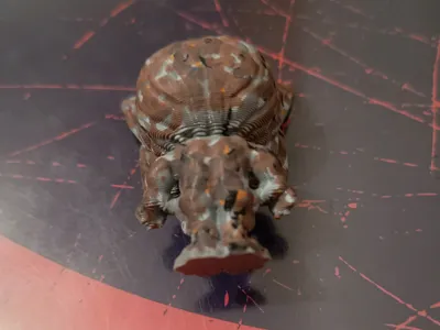 https://makerworld.bblmw.com/makerworld/model/2176289/2361239/ratings/29ee18c0-f9d7-11f0-9284-61be930aa45f.jpg