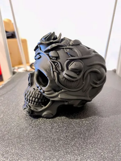 https://makerworld.bblmw.com/makerworld/model/2176736/2361824/ratings/172ade90-f846-11f0-9b1e-f35308aea860.jpg