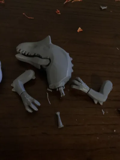 https://makerworld.bblmw.com/makerworld/model/2177970/2363341/ratings/e2a8c1b0-1383-11f1-bba2-0dd68aac9ae3.jpg