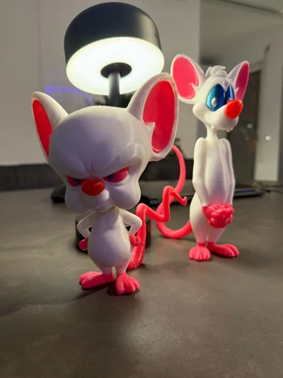 https://makerworld.bblmw.com/makerworld/model/2182239/2368703/ratings/9fb96900-f9c4-11f0-a653-d13290b5bfee.jpg