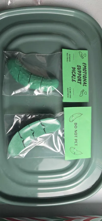 https://makerworld.bblmw.com/makerworld/model/2182474/2368976/ratings/04b93d00-ed84-11f0-8482-15e1414052c8.jpg