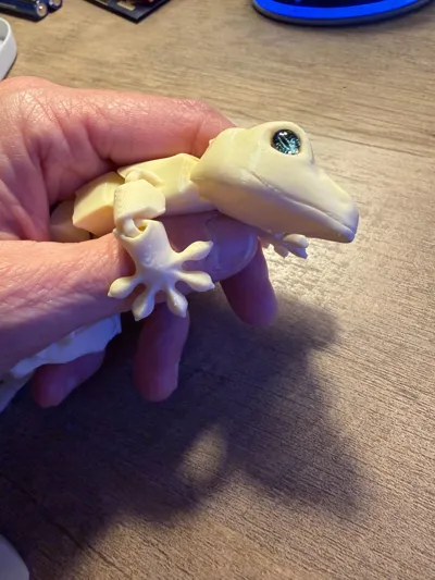 https://makerworld.bblmw.com/makerworld/model/2187790/2410775/ratings/300e8df0-f7ef-11f0-96cd-31c560298548.jpg