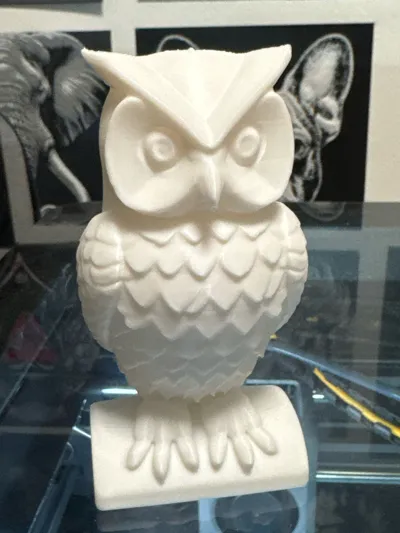 https://makerworld.bblmw.com/makerworld/model/2189691/2377328/ratings/e0a98230-e9f5-11f0-b214-e34109fac331.jpg