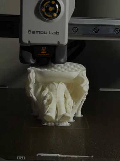 https://makerworld.bblmw.com/makerworld/model/2189992/2377693/ratings/6841dc50-f997-11f0-a2f4-49b8e3faed49.jpg