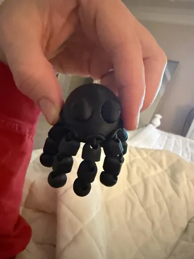 https://makerworld.bblmw.com/makerworld/model/2190867/2403017/ratings/a48d7250-f34d-11f0-a102-6965647c9611.jpg
