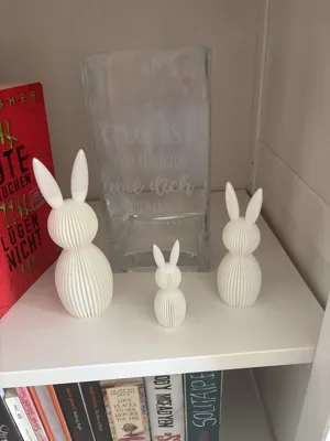 https://makerworld.bblmw.com/makerworld/model/219200/237967/ratings/6a1c72c0-fcee-11ef-b58b-c1c49a42c04f.jpg