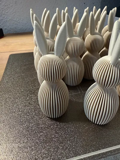 https://makerworld.bblmw.com/makerworld/model/219200/237967/ratings/9c61a8d0-1833-11f0-8b60-45e831573f18.jpg