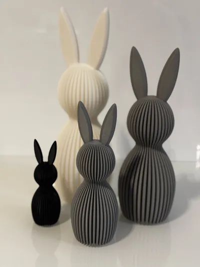 https://makerworld.bblmw.com/makerworld/model/219200/237978/ratings/361344f0-1543-11f0-a5d3-17c3d9868b11.jpg
