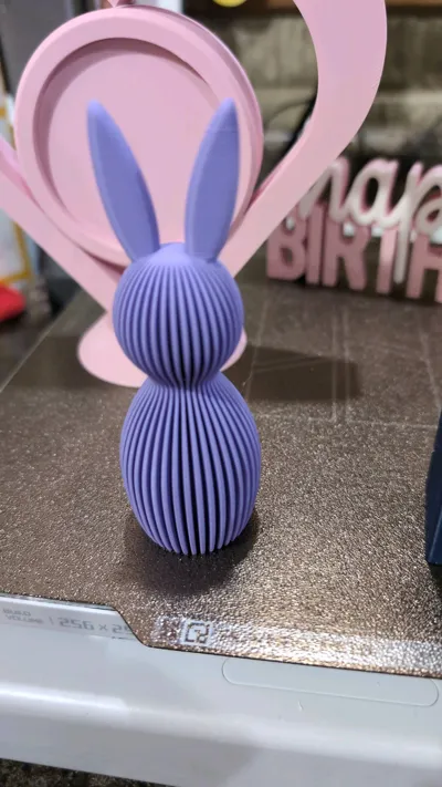 https://makerworld.bblmw.com/makerworld/model/219200/237978/ratings/76165e80-f976-11f0-b145-45aec915579b.jpg