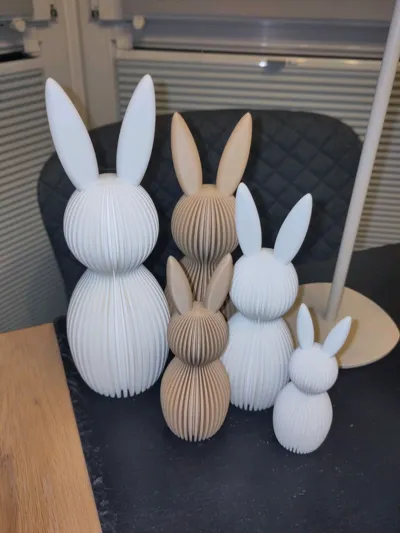 https://makerworld.bblmw.com/makerworld/model/219200/237978/ratings/7de40ac0-18f0-11f0-bca7-79355050167a.jpg